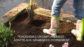 Floralux astuce de jardin Planter des herbes dornement [upl. by Ataliah489]