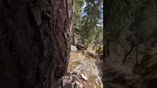 Mountain Biking in Pemberton BC [upl. by Emmit856]