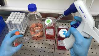 Passaging cells protocol of SKBR3 cell line [upl. by Adrahs999]