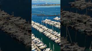 Cap Sante Marina in Anacortes  Natural Beauty of the Pacific Northwest [upl. by Rollecnahc]