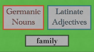 Germanic Nouns VS Latinate Adjectives family [upl. by Akemak396]