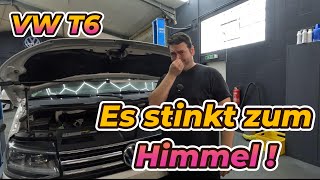 Bis die Augen brennen Ist das AGR Schuld  Massive Undichtigkeit am VW T6 Motor [upl. by Aimas]