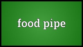 Food pipe Meaning [upl. by Adnomal]