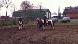 httpwwwsherwoodridingschoolcouk horse riding lessons near Newark Nottinghamshire [upl. by Adian]