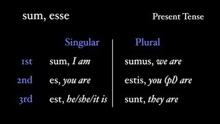 Irregular Verbs sum esse [upl. by Egiedan765]