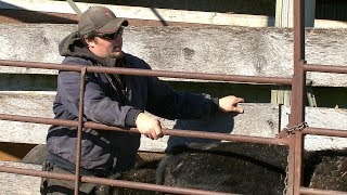 Life After Leavenworth A Cattle Producer Shares His Story [upl. by Thorlie910]