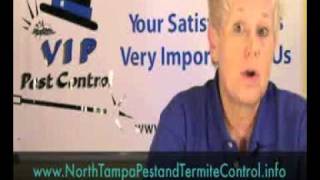 VIP Pest Control North Tampa termite treatment roaches and mosquitos [upl. by Onfre]