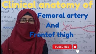 Clinical anatomy of femoral artery  Clinical of the front of thigh  Ayesha Medical Education [upl. by Ecyle]