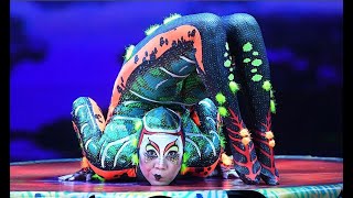 Contortion Solo Act  TOTEM by Cirque du Soleil  Mongolian Contortionist Oyuna Senge [upl. by Randee]