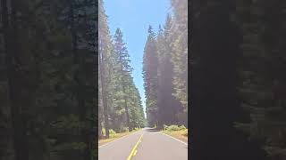 Driving to Crater Lake OREGON [upl. by Gearard972]