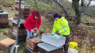 Futterkranzproben ziehen  121221  Live von Pias Bienenstand [upl. by Dogs]