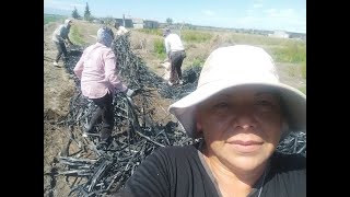 MARÍA ESTELA RAMÍREZ MUJER RURAL DE SAN CARLOS [upl. by Tyrus]