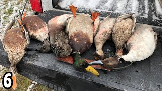 Fun MIXED BAG Duck Hunt in the Snow  Duck Hunting 2023 [upl. by Albrecht]