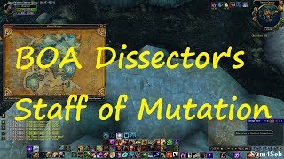 How to get BOA Dissectors staff of Mutation  Sum4Seb WoW Video [upl. by Lynett]