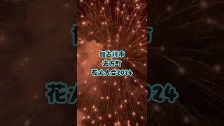 兵庫県加古川市花火大会2024！shorts [upl. by Annanhoj]