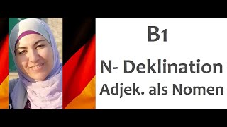 B1 Lektion 1 Grammatik  Adjektive als Nomen und NDeklination [upl. by Shimkus785]