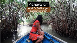 Worlds 2nd Largest Mangrove Forest  Pichavaram  A Day Trip From Pondicherry [upl. by Annyl854]