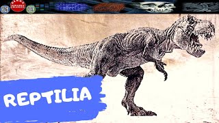 REPTILIA AMNIOTA PALING AWAL  DIRGA BIOLOGY CHANNEL [upl. by Zoeller]