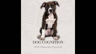 Bonus Exploring Dog Cognition with Alexandra Horowitz [upl. by Esir556]