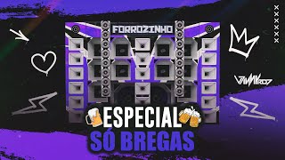 FORRÓZINHO  Especial So Bregas  PRA PAREDÃO  Vinnyrd7 [upl. by Munro]