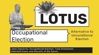 Occupational Election [upl. by Lonnard]