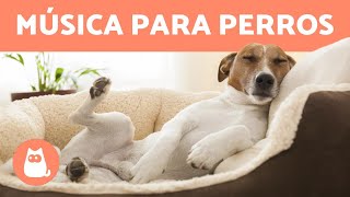 MÃšSICA PARA DORMIR PERROS ðŸ¶ ðŸ’¤ Â¡Relaja y mejora la ansiedad [upl. by Joses]