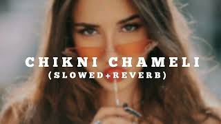 CHIKNI CHAMELISLOWEDREVERB  INSTAGRAM VIRAL SONG 2023 [upl. by Cosme]