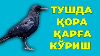 Туш табири  Тушда Кора карга куриш [upl. by Alodee187]