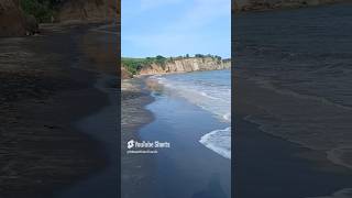 Black sand Beach Puerto Rico Horse Rides Vieques [upl. by Ynaffad]