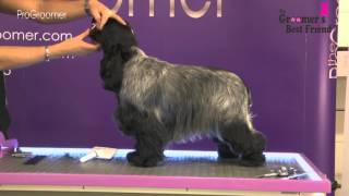 How to groom a Cocker Spaniel  Coat King  Grooming Guide Pro Groomer [upl. by Westbrooke]