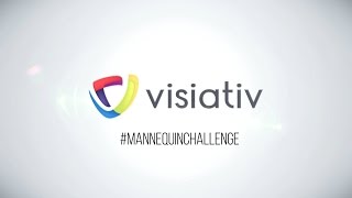 Visiativ Agence Casablanca  Mannequin Challenge [upl. by Pirnot]