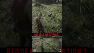 rdr2 beware of dog reddeadredemtion2 rdrii [upl. by Oderfliw]