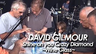 DAVID GILMOUR ：PINK FLOYD 『Shine On You Crazy Diamond Wine Glass 』 [upl. by Gilletta]