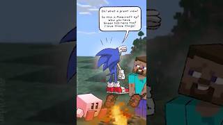 Sonic and Minecraft dont mix well [upl. by Sephira]