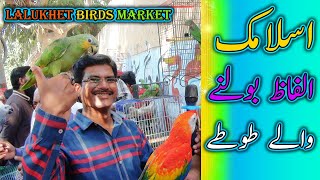 Lalukhet Exotic Parrots and Rare Birds Market Karachi 6102024 Latest Update in Urdu  سوق الطيور [upl. by Kermit]