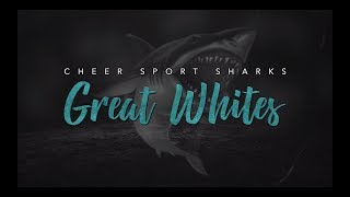 Cheersport Sharks Great Whites 201819 [upl. by Elraet]