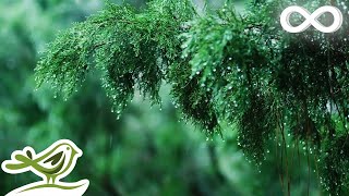 Calming Piano Music with Rain amp Thunder Sounds for Sleep or Relaxing • quotRainy Dayquot [upl. by Akelam]