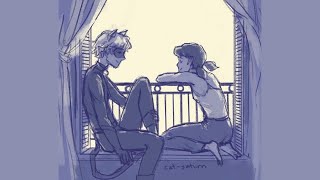 Early Morning  Chapter 21 A Miraculous Ladybug FanfictionPodficAudiobook [upl. by Iadahs]