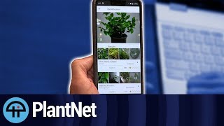 PlantNet for Android [upl. by Flossy]