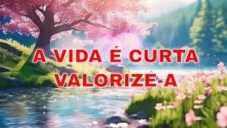 A Vida é Curta Valorizea Mensagem de Bom Dia e Reflexão [upl. by Hpesoy]