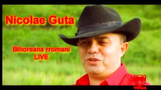 Nicolae Guta  Bihoreana rromani LIVE [upl. by Nido]