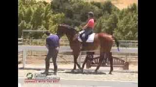 Dressage training with Alfredo Hernandez Piaffe and Passage Focus [upl. by Rufina]