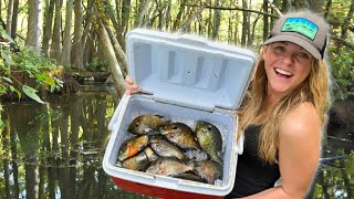 Fishing LOADED Bream Beds For Spawning BLUEGILL and REDEAR Hybrids Catch Clean and Cook EPIC [upl. by Anilrac]