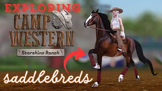 CAMP WESTERN  SADDLEBREDS「⍵∱」UPDATE [upl. by Clarita]