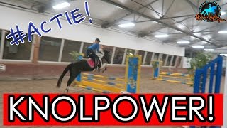 KNOLPOWER met Mojito  Paard en springen vlog [upl. by Nalniuq]