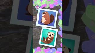 What Is A Platypus Shorts  Vida The Vet  Animal Cartoons For Kids AskVida [upl. by Chelton]