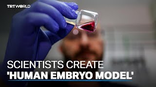 Scientists create model of human embryo without eggs or sperm [upl. by Sheilah]