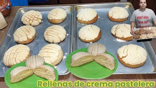 Conchas rellenas de crema pastelera para negocio [upl. by Enairda]