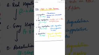 Pathology MCQ  LUNG  LOBAR PNEUMONIA lobarpneumonia pathology mbbs nextfmge lungs nextexam [upl. by Lashar]