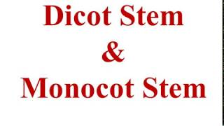 Dicot stem and Monocot stem BSc 3rd Sem GDC Kargil [upl. by Arraeit]